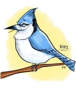 birdy-swag